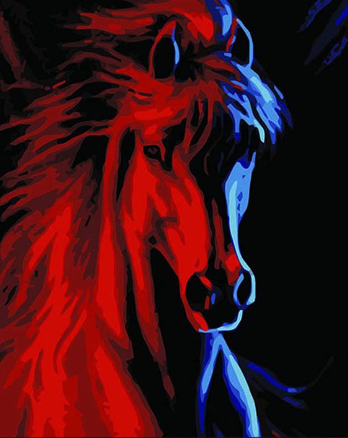 Gaira® Malování podle čísel Barevný kůň M414