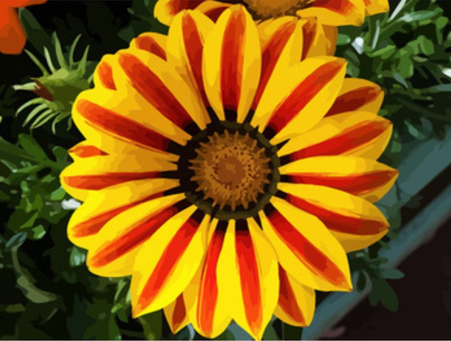 Gaira® Malování podle čísel Červeno-žlutý květ M992295